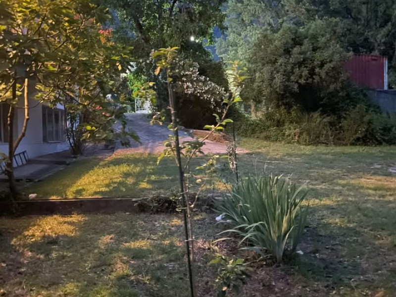 Apartman Sutomore