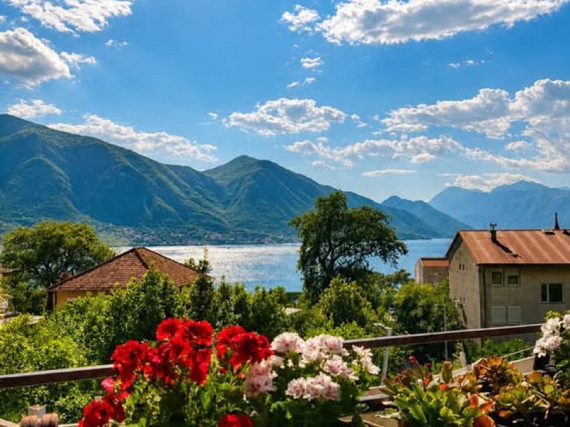 Apartman Teona